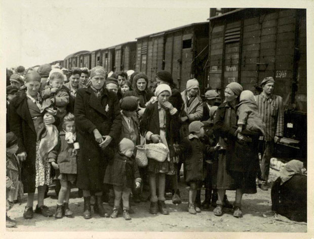 auschwitz-album-5 copy