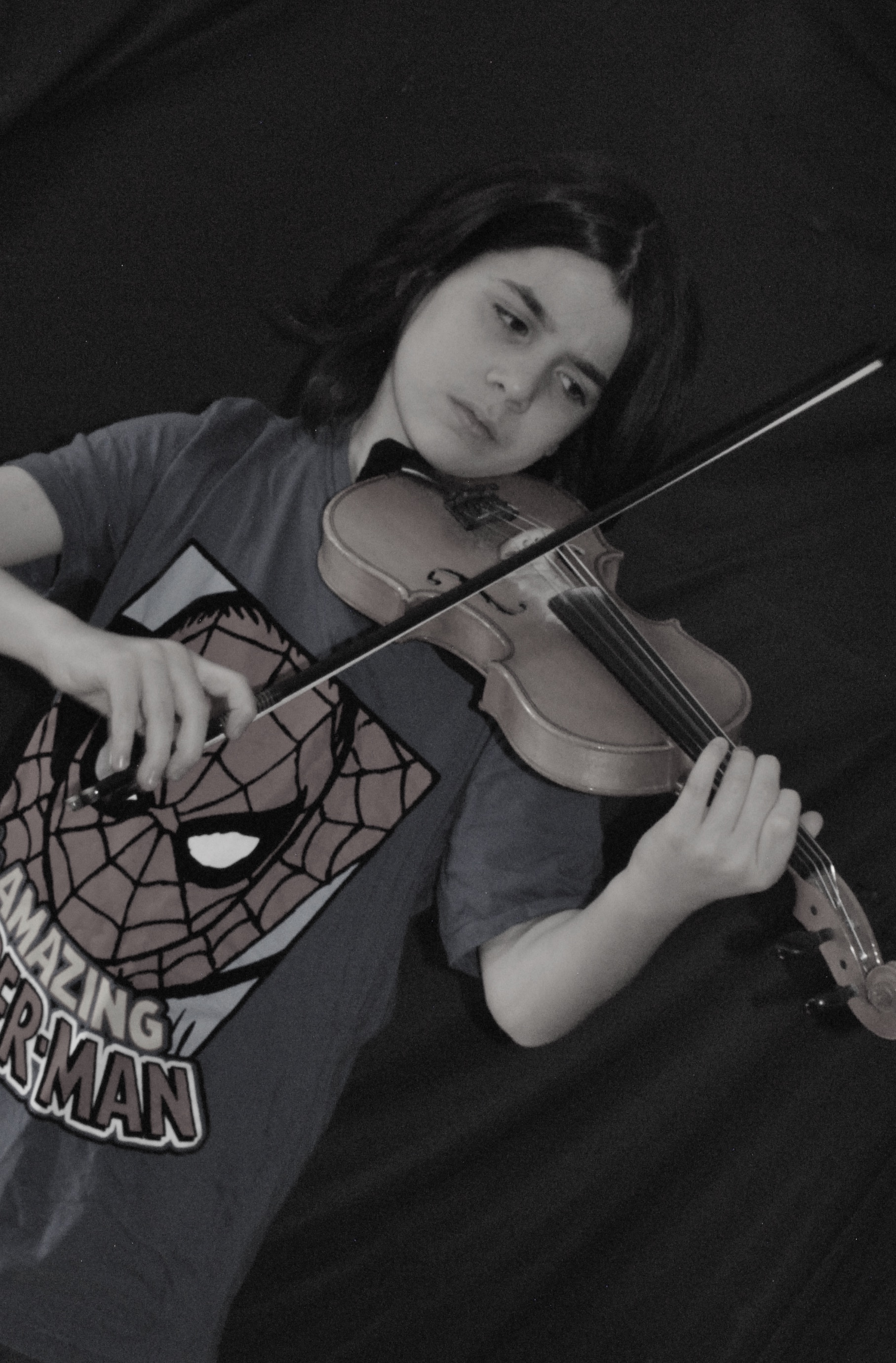 ITAY-VIOLIN-SPIDER-1
